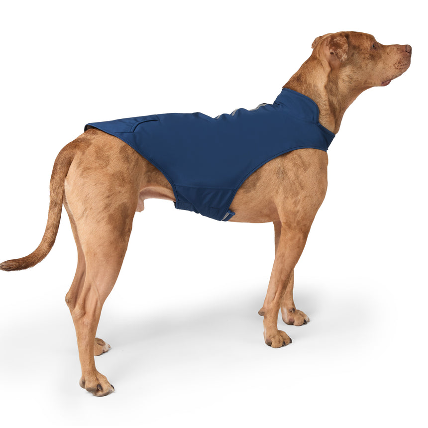 Dog X2O Waterproof Raincoat