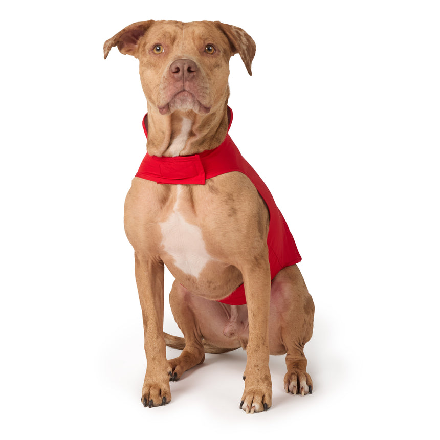 Dog X2O Waterproof Raincoat