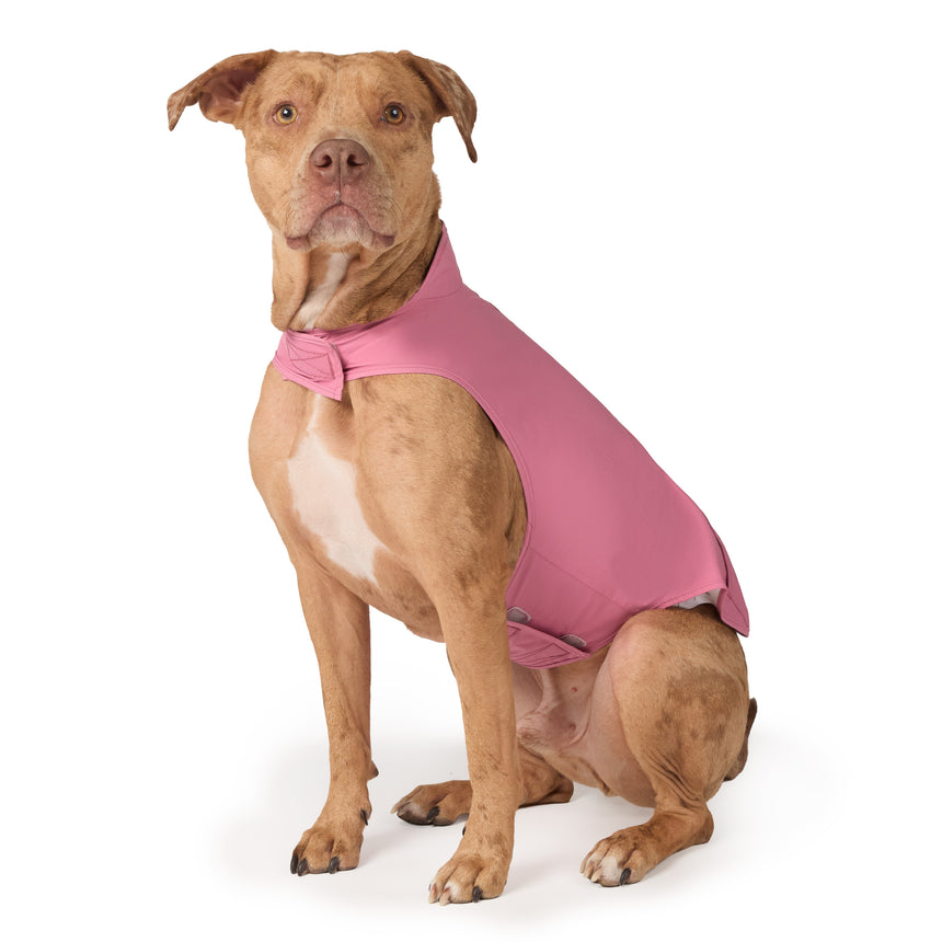 Dog X2O Waterproof Raincoat