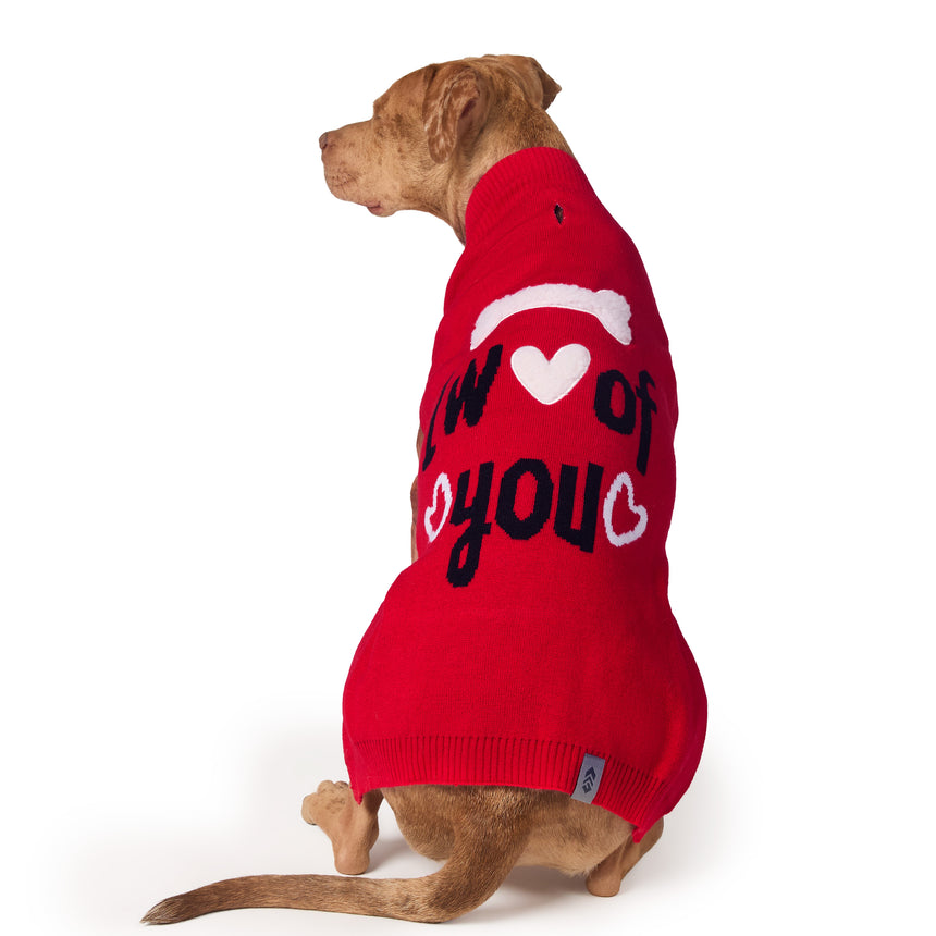 Dog Valentine Sweater