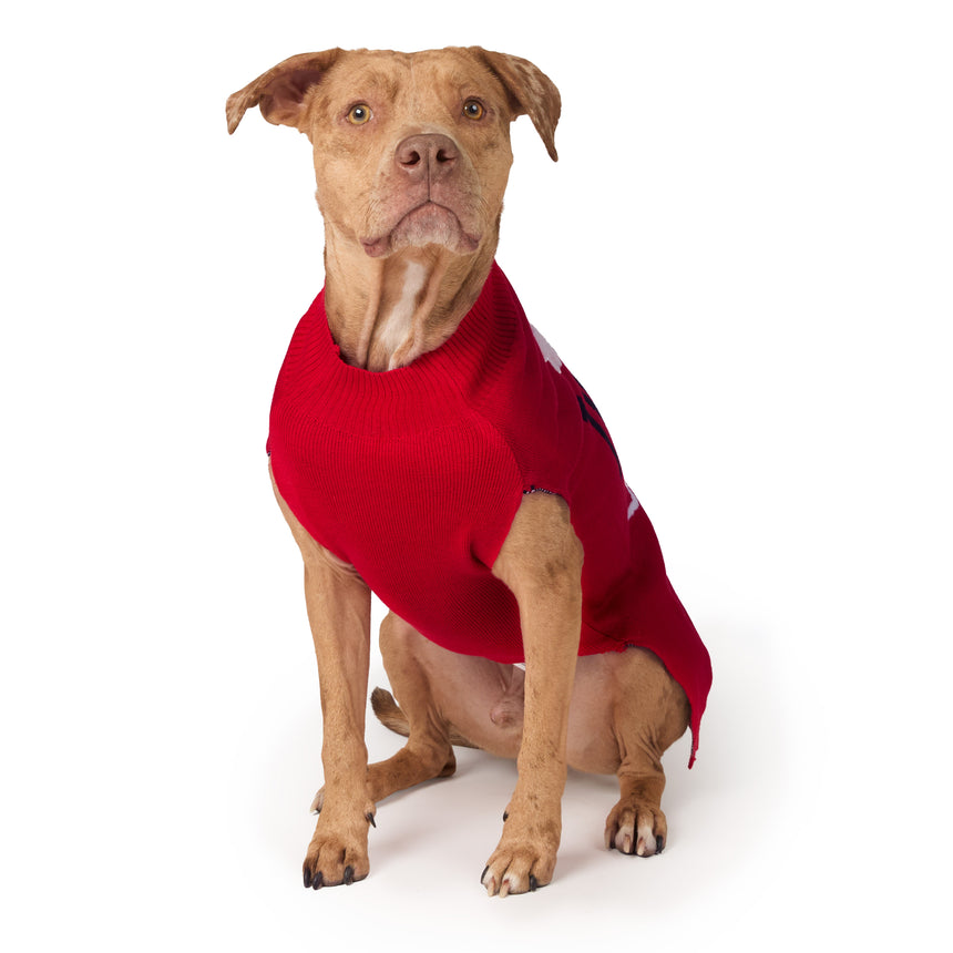 Dog Valentine Sweater