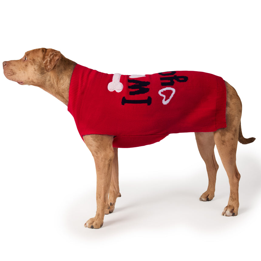 Dog Valentine Sweater