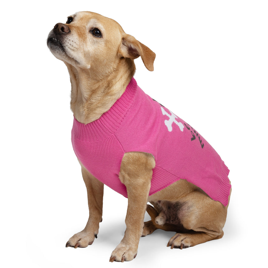 Dog Valentine Sweater