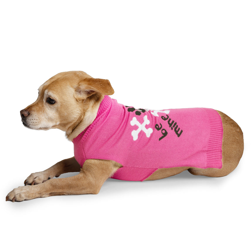 Dog Valentine Sweater