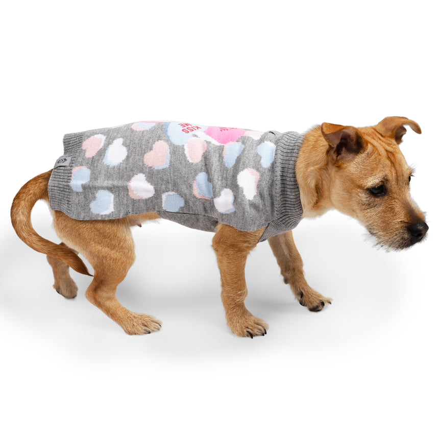 Dog Valentine Sweater