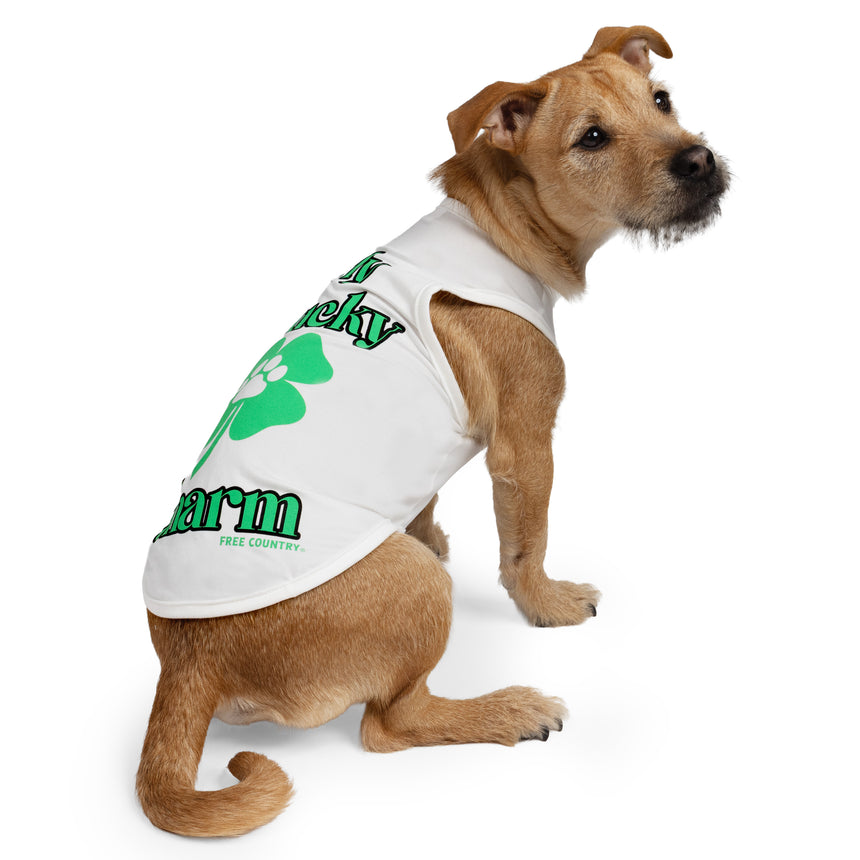 Dog Festive Tee 2-Pack