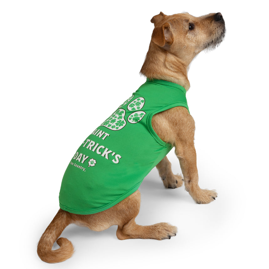 Dog Festive Tee 2-Pack