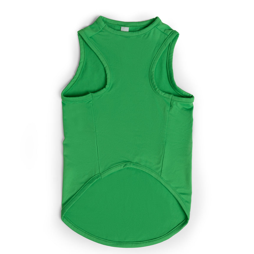 Dog Festive Tee 2-Pack