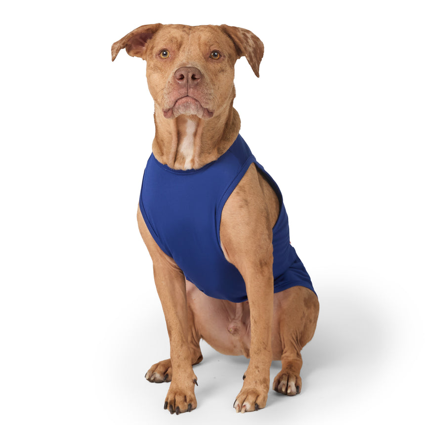 Dog Festive Tee 2-Pack