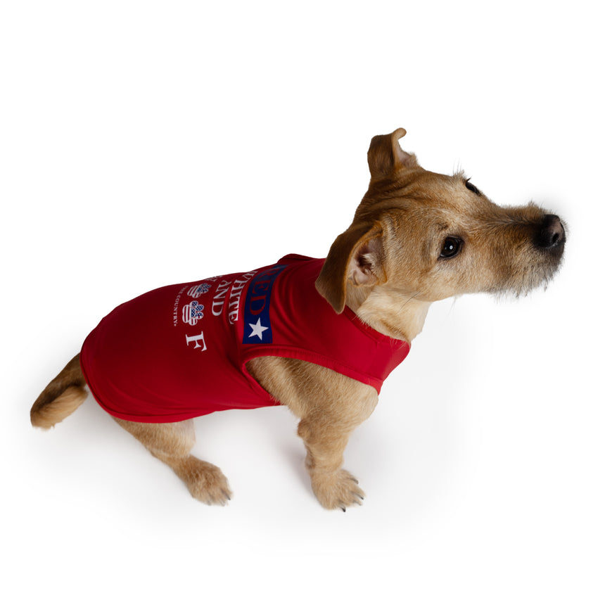 Dog Festive Tee 2-Pack