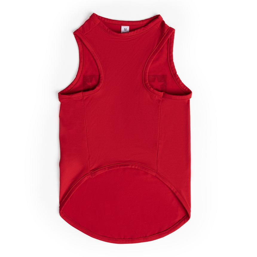 Dog Festive Tee 2-Pack