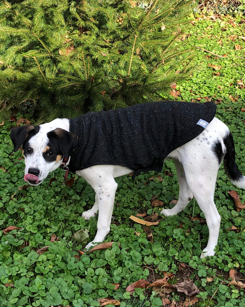 Free Country Dog Mountain Fleece Jacket in dark textured fleece, designed to keep dogs warm while providing a comfortable fit.