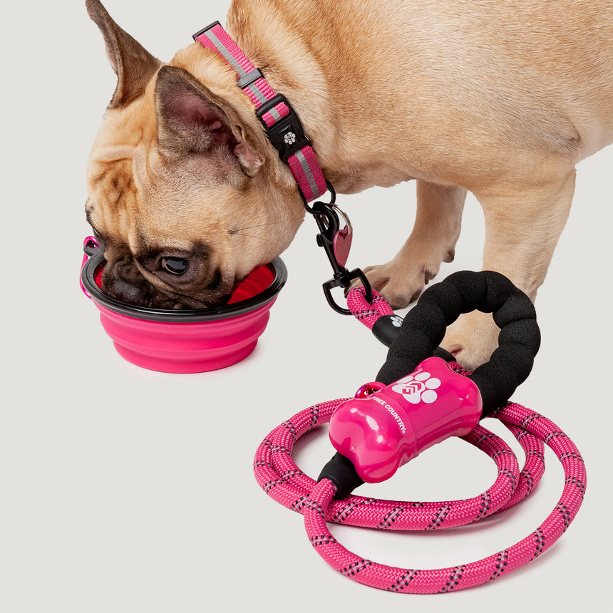 Dog Essentials Set