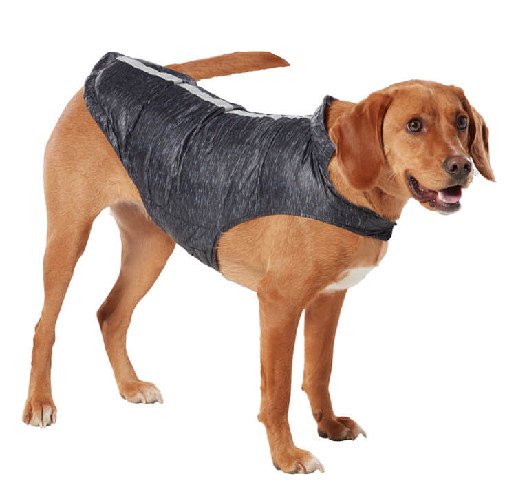Free Country Dog Down Reversible Mock Jacket -  - #color_striation-black