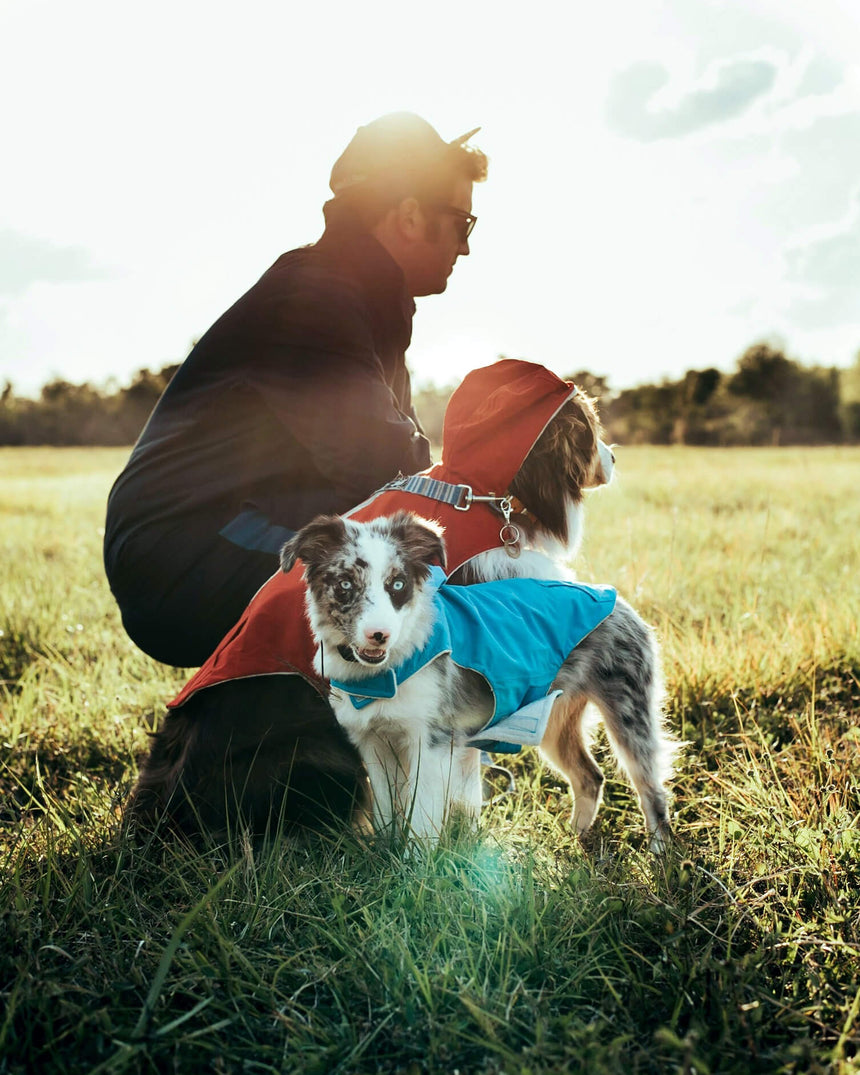 Free Country Dog Raincoat -  - #color_poppy-red
