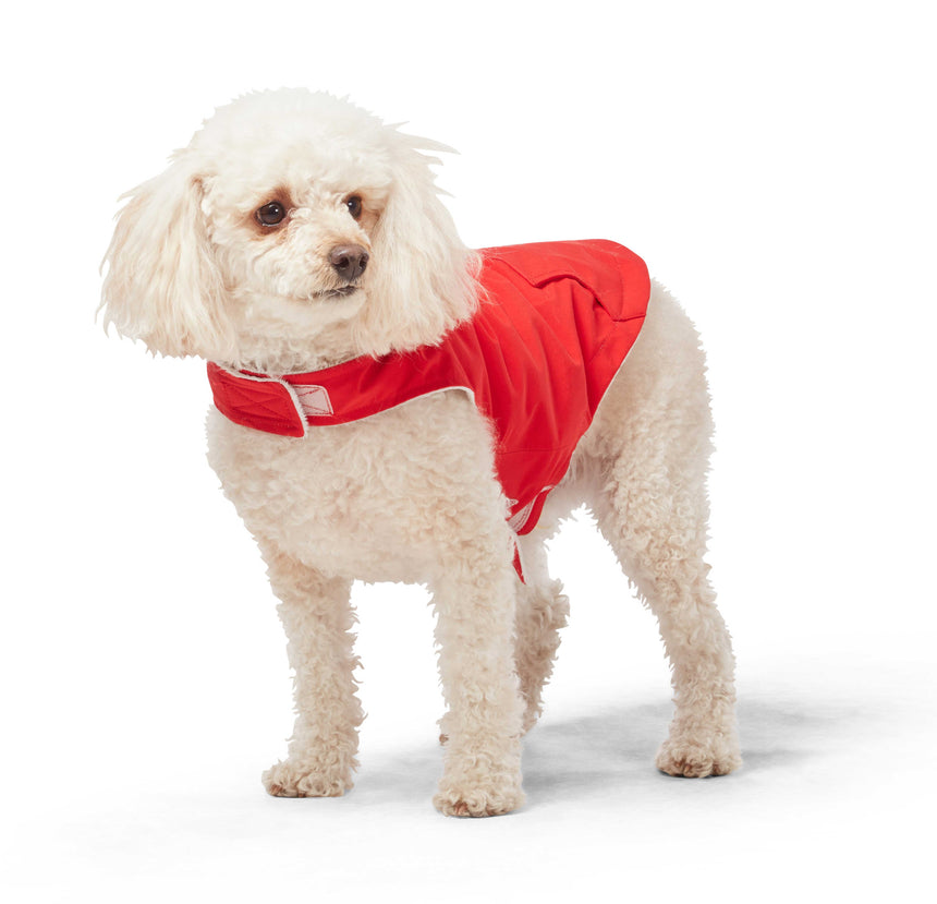 Free Country Dog Raincoat - Poppy Red - XS#color_poppy-red