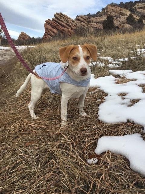 Free Country Dog Raincoat -  - #color_silver-chip