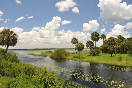 Florida Travel Guide: Discover the Sunshine State’s Best Outdoor Destinations