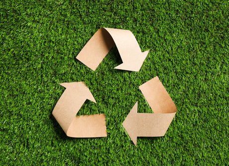 Dress Green, Feel Great: Easy Eco-Friendly Tips in Honor of America Recycles Day