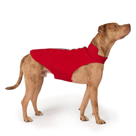 Dog X2O Waterproof Raincoat