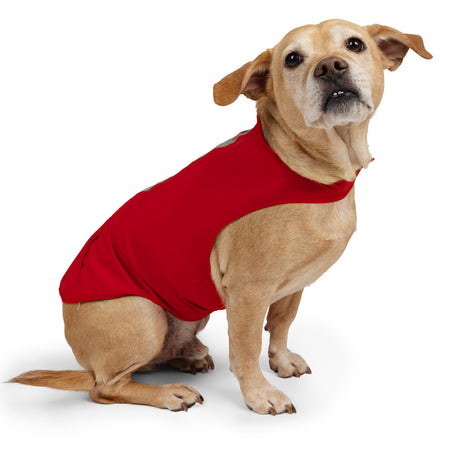 Dog X2O Waterproof Raincoat