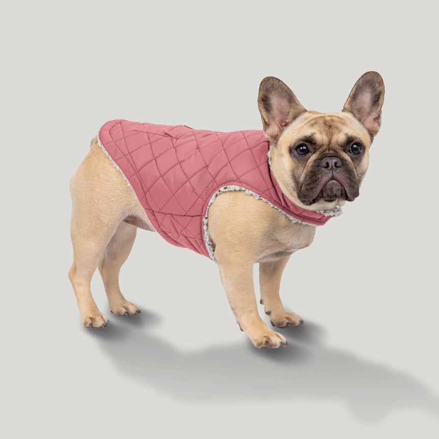 Stratus Lite Reversible Dog Jacket - Pink Clay #color_pink-clay