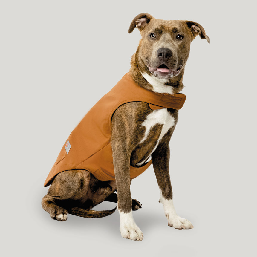 Brawny Canvas Reversible Dog Work Jacket - Canyon Brown/Red Plaid #color_canyon-brown-red-plaid