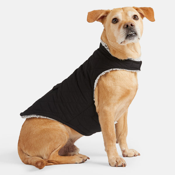 Stratus Lite Reversible Dog Jacket Free Country Stratus Lite Reversible Dog Jacket Free Country