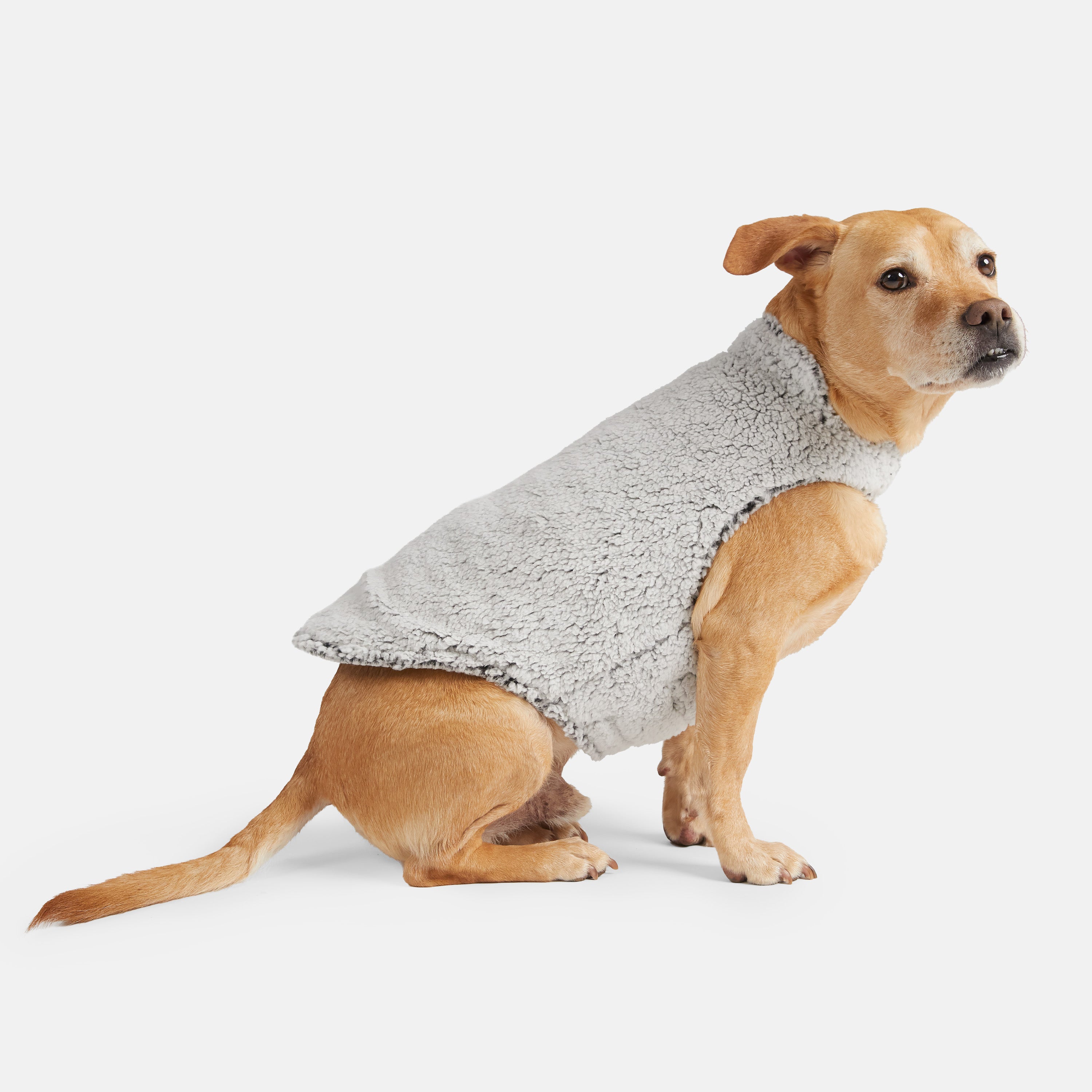 Stratus Lite Reversible Dog Jacket – Free Country