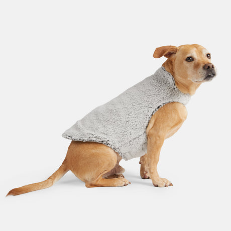 A light brown dog sits on the floor wearing the Clearance Stratus Lite Reversible Dog Jacket, featuring a cozy light gray fleece vest style, against a plain white background.