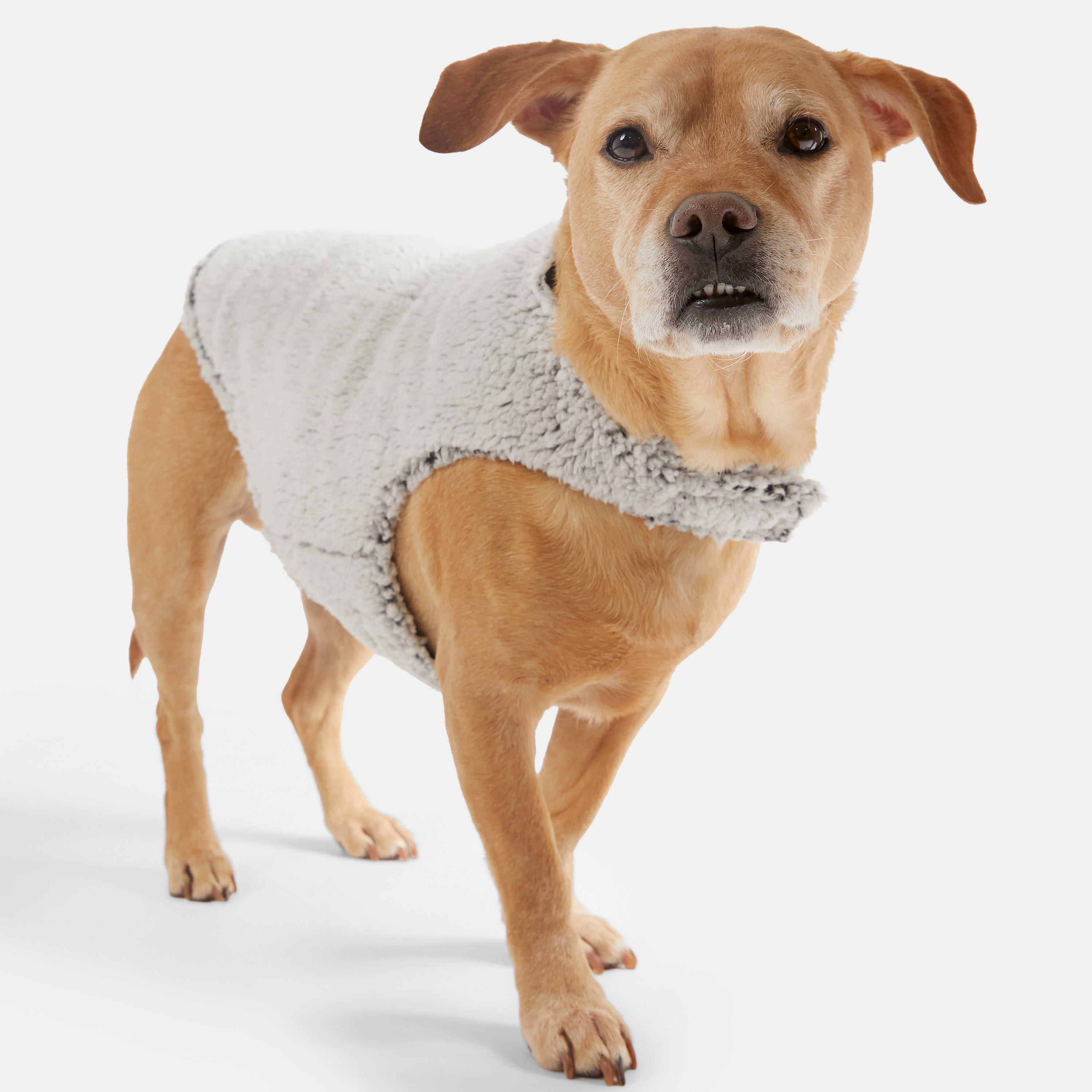 Stratus Lite Reversible Dog Jacket – Free Country