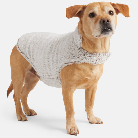 A light brown dog wears the Clearance Stratus Lite Reversible Dog Jacket, featuring a fluffy sherpa lining, and stands on a white background looking slightly upward with its mouth slightly open.