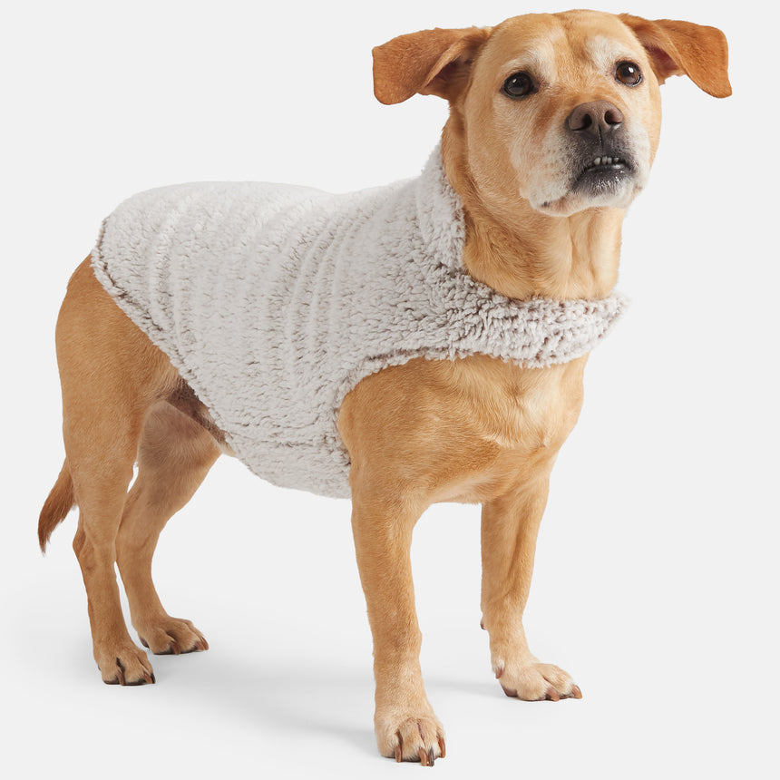 Stratus Lite Reversible Dog Jacket