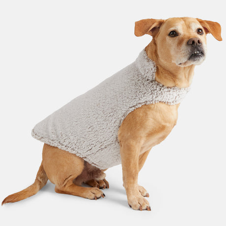 A light brown dog sits upright in a Clearance Stratus Lite Reversible Dog Jacket, featuring a warm sherpa lining, gazing slightly upward against a plain white background.