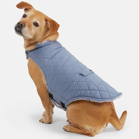 Stratus Lite Reversible Dog Jacket