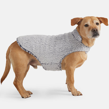 A light brown dog wears the Clearance Stratus Lite Reversible Dog Jacket in light gray sherpa, standing on a white background and looking slightly toward the camera.