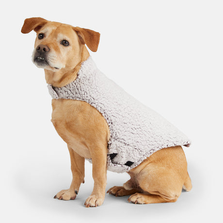 A light brown dog wears the Clearance Stratus Lite Reversible Dog Jacket with a high collar, sitting on a white background and looking slightly to the side.