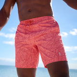Swimwear