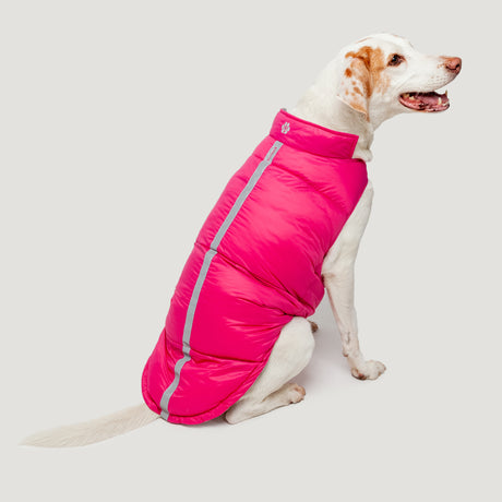 An alert white dog with brown spots sits right, wearing the Clearance Dog Down Reversible Mock Jacket—a bright pink, water-resistant vest with a reflective back stripe that keeps the happy pup cozy against a plain light background.