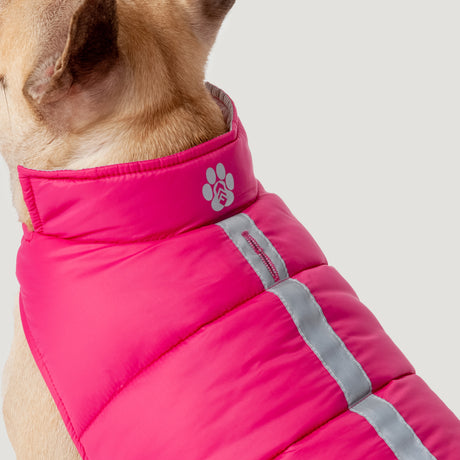 A light brown dog wears the Clearance Dog Down Reversible Mock Jacket in bright pink with a gray reflective stripe and white paw print logo, shown against a plain light background.