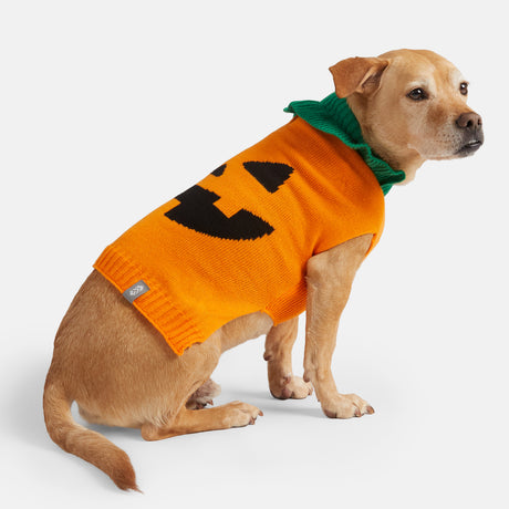 Dog Halloween Sweater