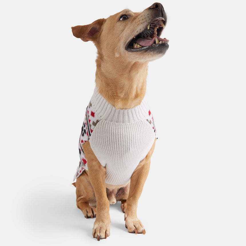 Dog Holiday Sweater