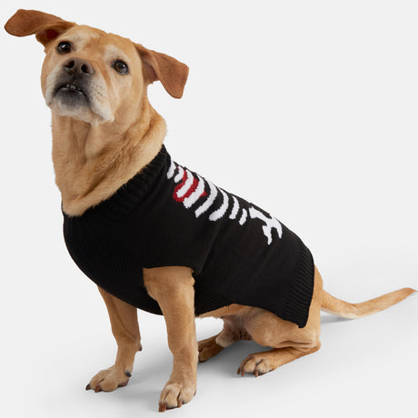 A light brown dog wears the Clearance Dog Halloween Sweater—a black pullover with a white skeleton and red heart—while sitting with perked ears on a plain white background.