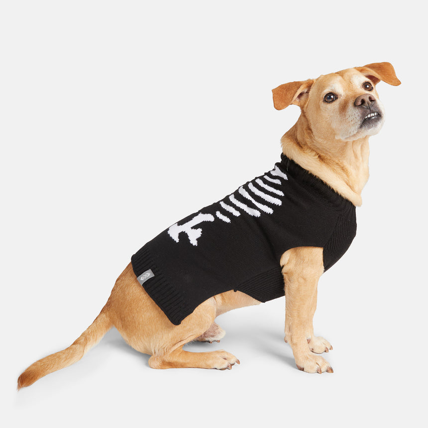 Dog Halloween Sweater