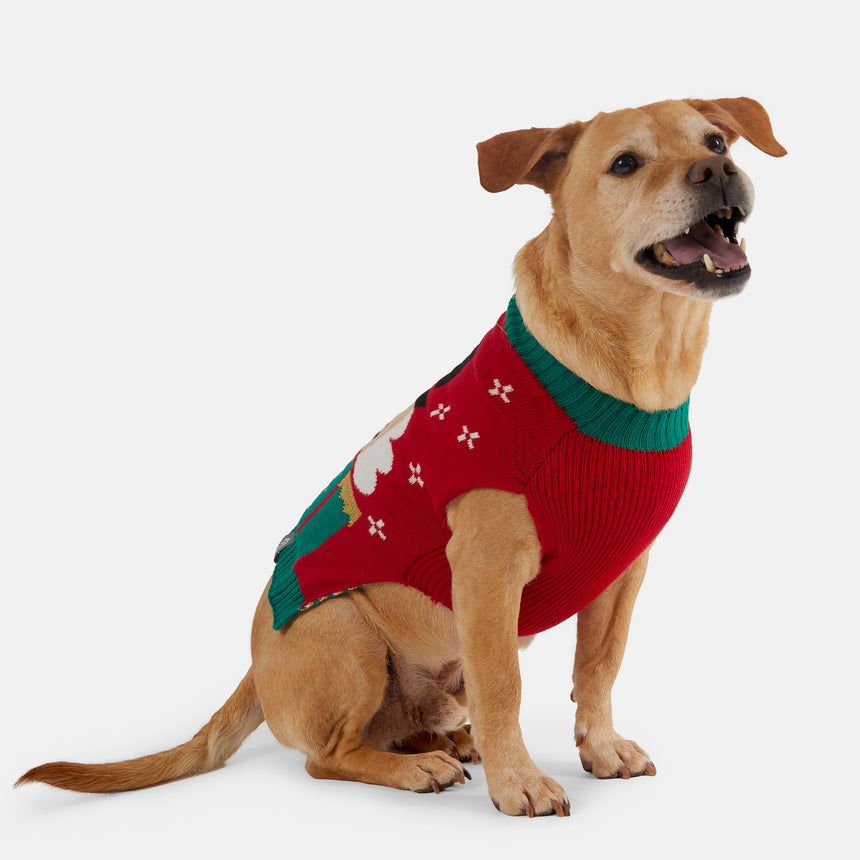 Dog Holiday Sweater