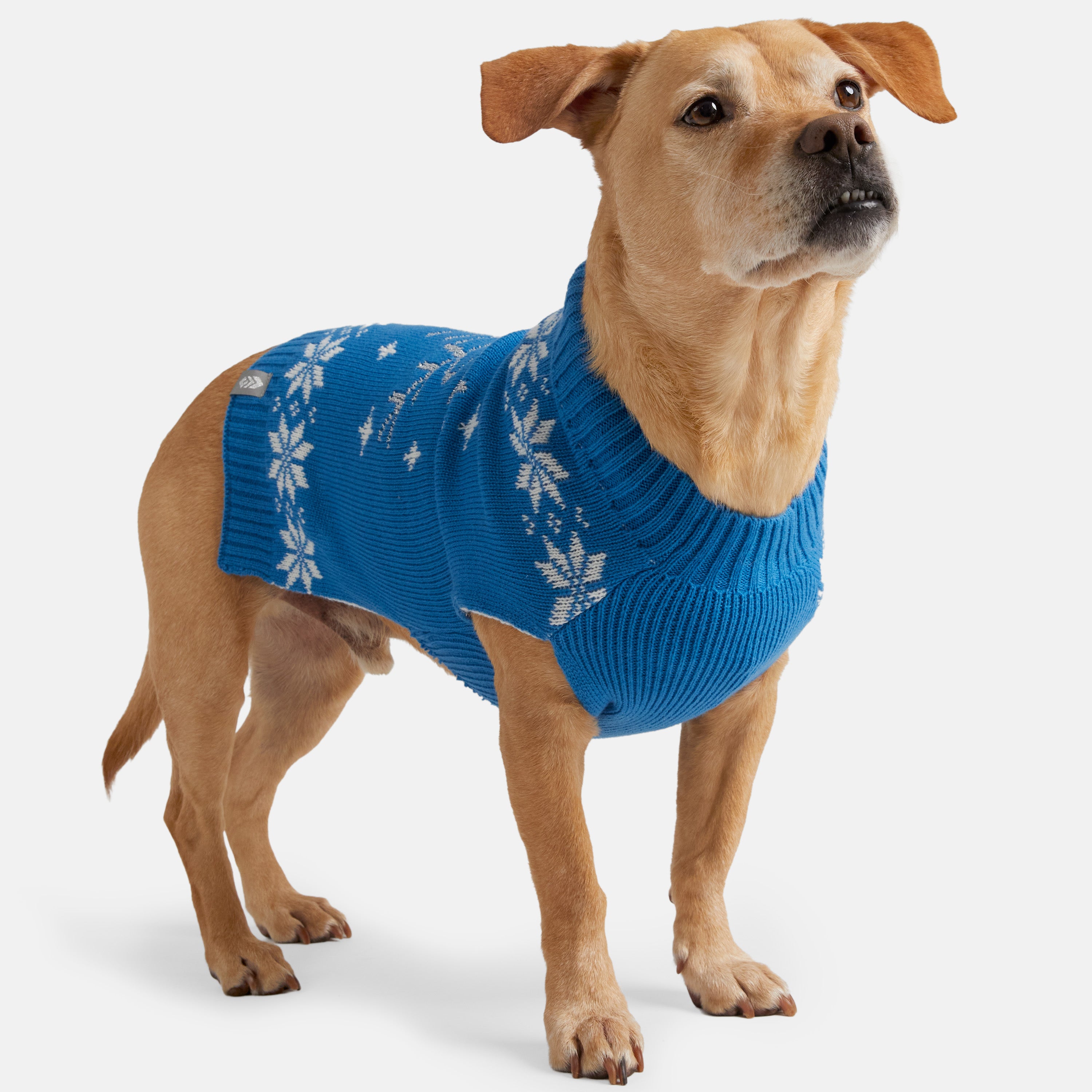 Dog Holiday Sweater – Free Country