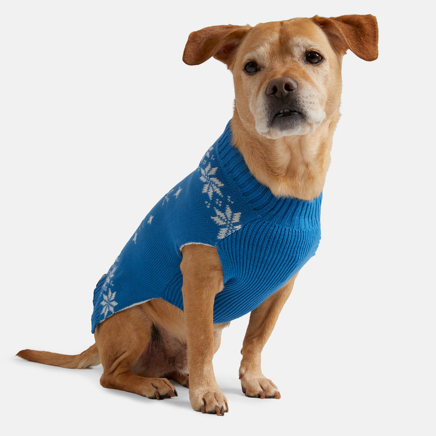 Dog Holiday Sweater