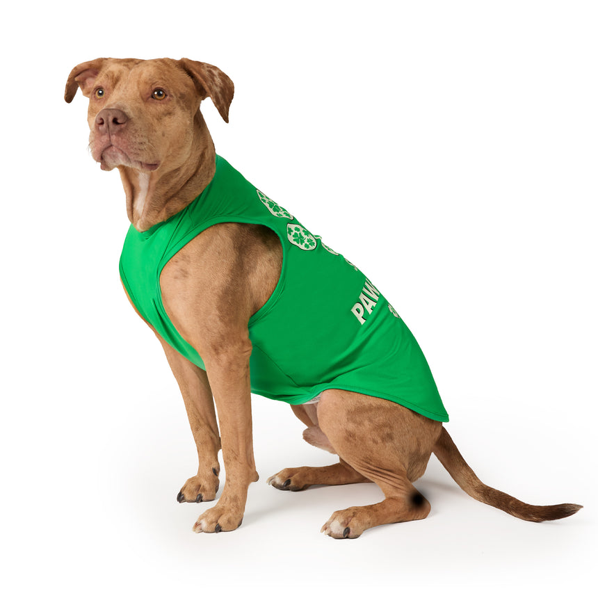 Dog Festive Tee 2-Pack