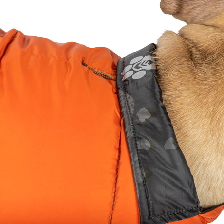 A close-up shows part of a dog wearing the Clearance Dog Down Reversible Mock Jacket in orange. The water-resistant jacket features a black collar with a paw print design, visible on the dog's neck and body.