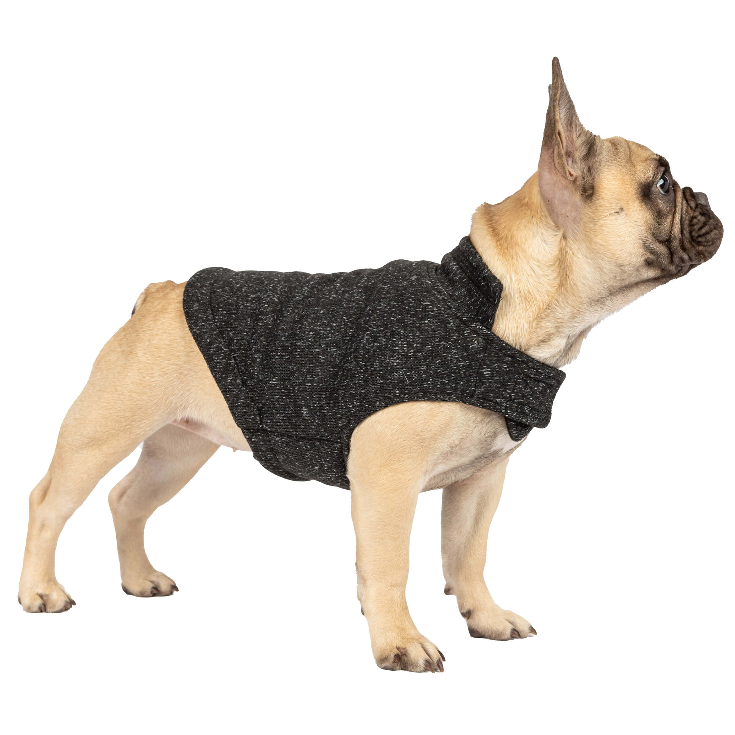 Mountain dog fleece best sale